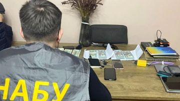 Подсчитано, сколько миллиардов долларов потеряла Украина из-за коррупции