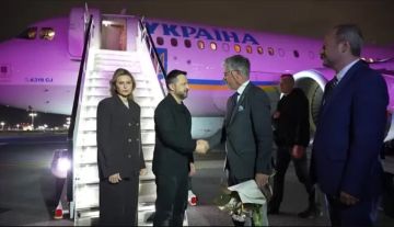 «Зеленский едет хамить»: Политолог раскрыл планы киевского главаря на визит в США
