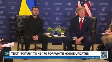 Путин и Зеленский хотят мира, заявил Трамп