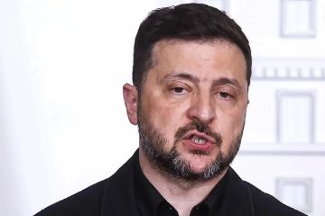 «Бред сумасшедшего». В Польше прокомментировали резкое заявление Зеленского