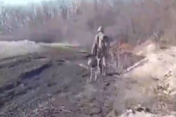 Украина хочет избавиться от «человеческого балласта»