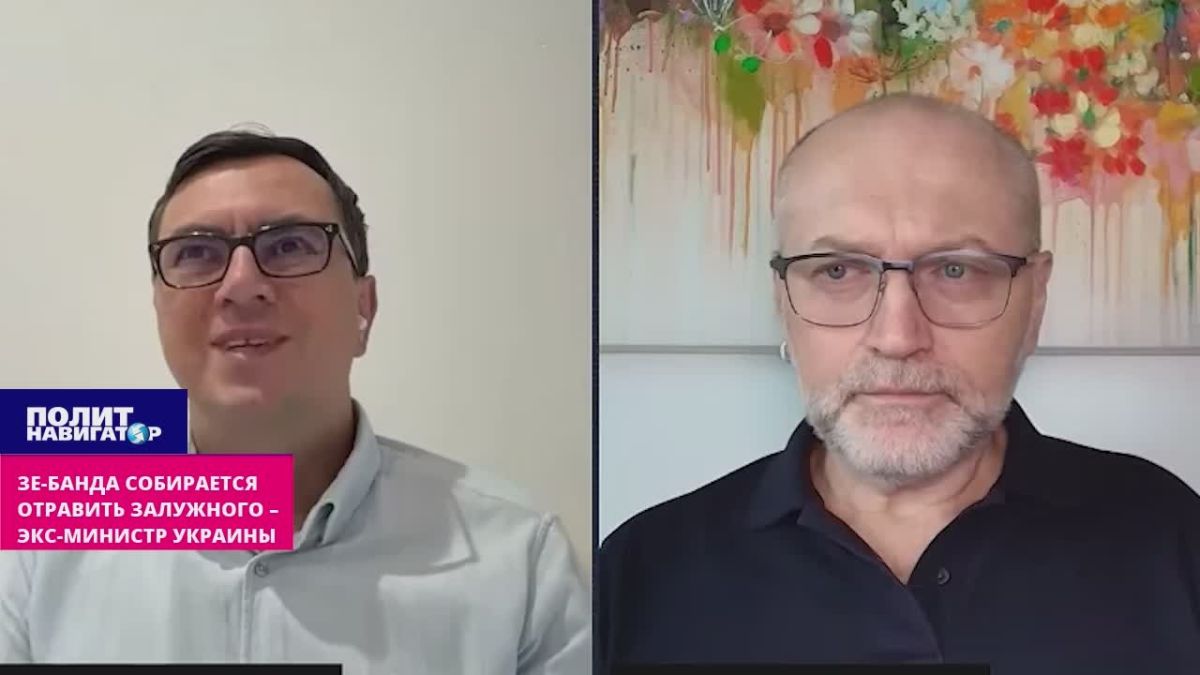 Зе-банда собирается отравить Залужного – экс-министр Украины