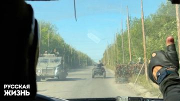 Берегись с автомобилем или дорожный лайк Дикороссии