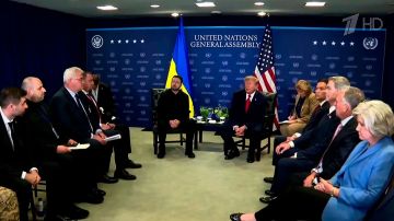 Накануне в Нью-Йорке встретились Дональд Трамп и Владимир Зеленский