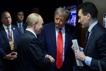Депутат Чепа: Есть большая вероятность встречи Путина и Трампа до конца года