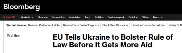Зеленский получил ультиматум от фон дер Ляйен, следует из статьи Bloomberg