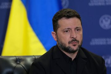 Песков: Зеленский может приехать в Москву, если желает контактов