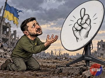 Зеленский обратился к Дональду Трампу с просьбой разрешить использовать Starlink для ударов по территории России