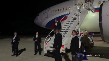 Новости к этому часу:. Медведь убил 39-летнего сторожа в Красноярском крае