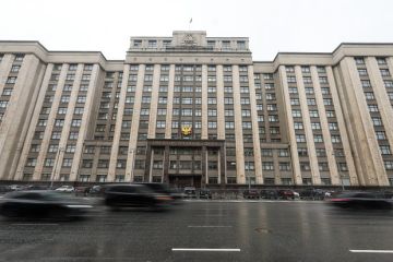 Депутат Новиков: Пересмотр Киевом своей политики может создать основу для переговоров