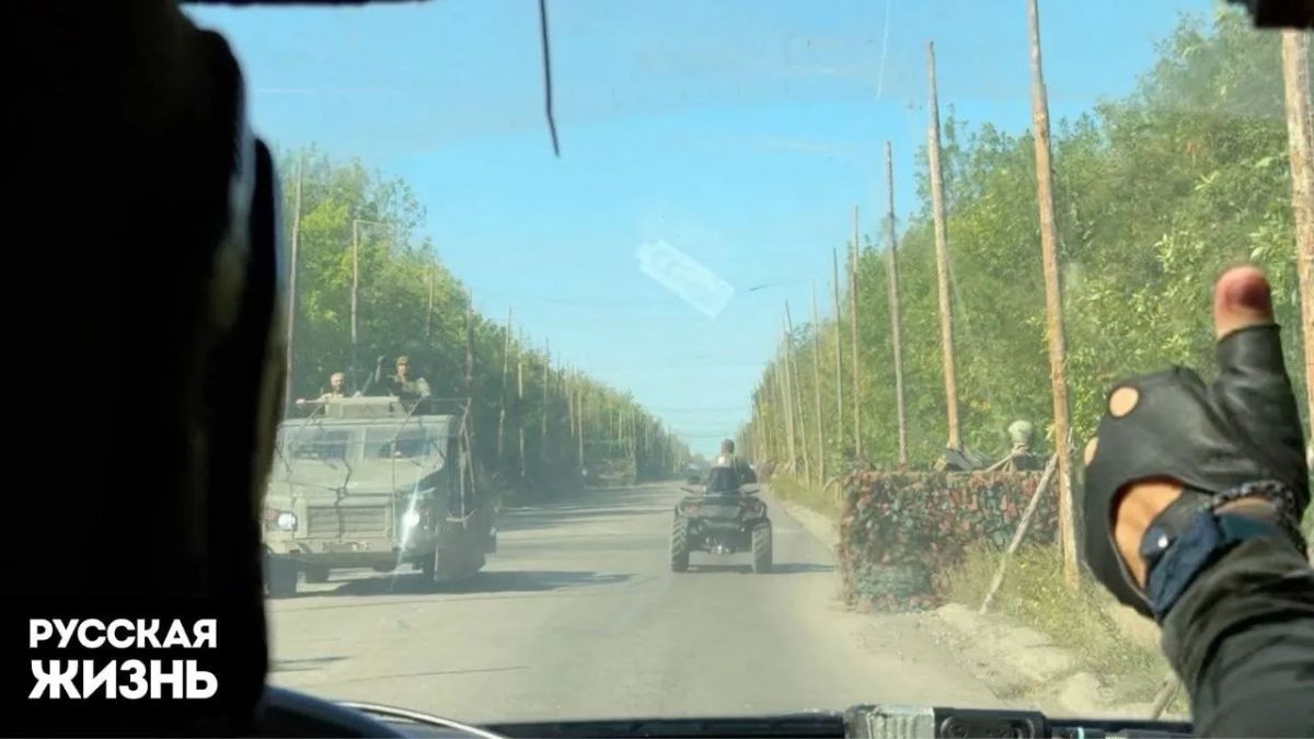 Берегись с автомобилем или дорожный лайк Дикороссии