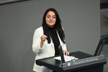 Дагделен поинтересовалась, касается ли детей Кличко призыв Зедера выслать из ФРГ украинцев