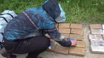 Более 300 кг кокаина с изображением Зеленского с долларами на глазах изъяли в Подмосковье — ФСБ