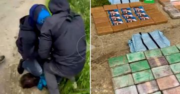 Подмосковье изъяли партию кокаина с фото Зеленского на упаковках
