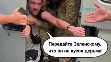 Любовь к Зеленскому - главная скрепа нации