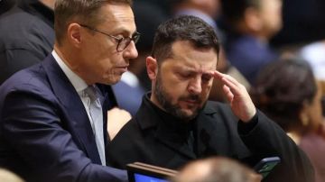 Секретный мем на экране Стубба: Что заставило Зеленского зависнуть?