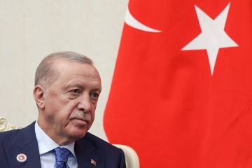 Эрдоган заявил Зеленскому о необходимости безопасного судоходства в Черном море