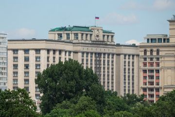 Депутат Чепа: Матерное высказывание Зеленского говорит о его неадекватном состоянии