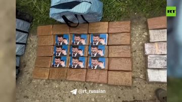 На пачках с кокаином, изъятых у россиянина в Подмосковье, были фото Зеленского