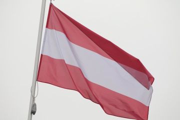 �������: ������� �� ���� ���� ���������� ���������� ��-�� �������