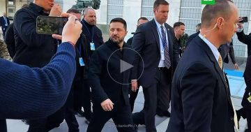 Захарова: Зеленский опасается, что его ждет судьба Лжедмитрия