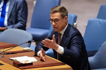 Стубб призвал призвал Маска разрешить Киеву использовать Starlink для ударов вглубь РФ