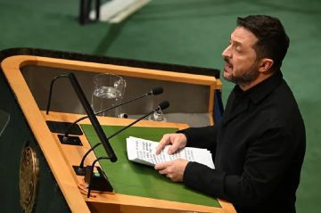 Кричал и застывал. Очевидцы описали истеричное поведение Зеленского в ООН