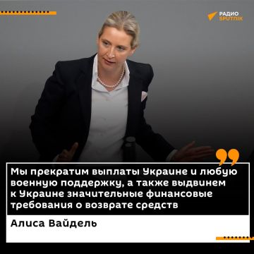 АдГ потребовали от правительства ФРГ полностью исключить возможность членства Украины в Евросоюзе