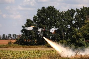 Дандыкин: ВСУ могли запускать дроны по Ульяновску из Харьковской или Сумской областей