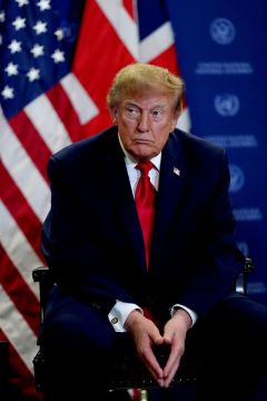 "Хоть шерсти клок". Трамп получил от Гренландии многое, но не все