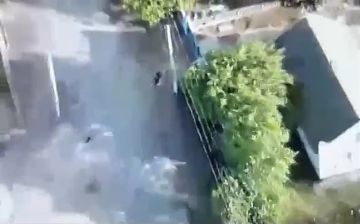 Установлена личность причастного к вчерашнему удару по пенсионерке в Софиевке возле продуктового магазина (видео)