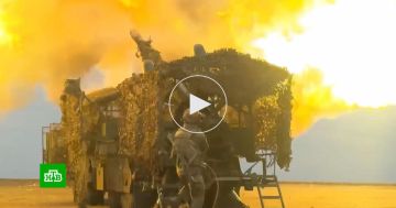 Российские бойцы атаковали украинские склады с двигателями для ракет «Фламинго»