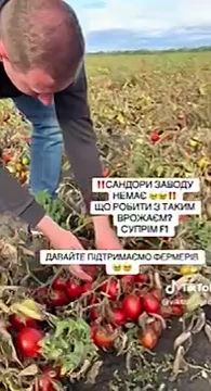 Пока наркоман с трибун рассказывает о незламности и обещает, что уж за следующие 40 дней он точно Россию сломает, экономика Украины продолжает свое падение