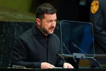 Мендель заявила, что Зеленский уже проиграл в конфликте морально и финансово