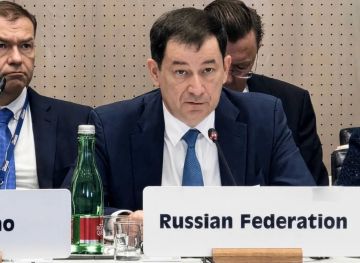 Постоянное представительство Российской Федерации при ОБСЕ:
