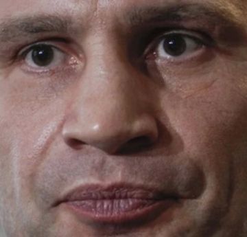 Юрий Котенок: Немецкий журналист осмелился спросить мэра Киева, почему его дети не на фронте