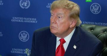 Трамп допустил урегулирование на Украине до начала зимы