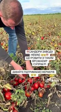 Зеленский доводит украинских фермеров до разорения