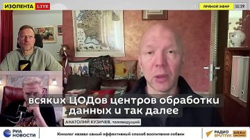 Кузичев и Лидов разошлись во взглядах на возможный компромисс по Украине