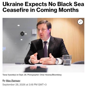 Оптимизма не осталось: министр аграрной политики Украины призвал готовиться к тому, что ситуация в Чёрном море останется такой же «критической», как сейчас