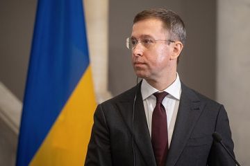 Премьер Украины Корецкий призвал украинцев «включить третье дыхание»