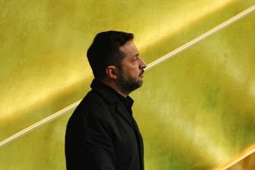 Аналитик Прауд: Зеленский может украсть больше, чем все президенты Украины до него