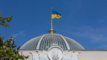 ������ ����: ���� ������� ���������� �������� �� ����� �������