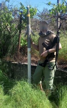 ������������� ������������ ����������� ������ APKWS, ����������� �� �� � ��������� ����� ���������