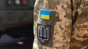 Историк Кузовкин: украинские националисты участвовали в массовых убийствах
