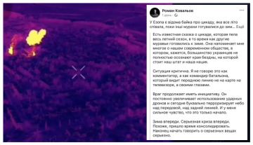 "Большинство украинцев, кажется, не до конца осознают, на краю какой пропасти стоит наше государство и нация": командир батальона ВСУ пожаловался на ситуацию на фронте