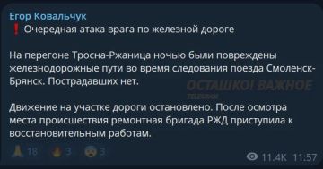 Теракт на железной дороге в Брянской области, движение полностью остановлено