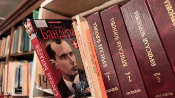 Книжный десант Сороса: из украинской диаспоры готовят "спящие ячейки" за рубежом