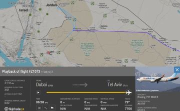 Драка пилотов или предотвращенный теракт: что случилось в самолете Flydubai? Собрали все, что известно к этому часу: