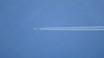 �������������� �� �����������, ��� ����� Flydubai �� �������� �����������